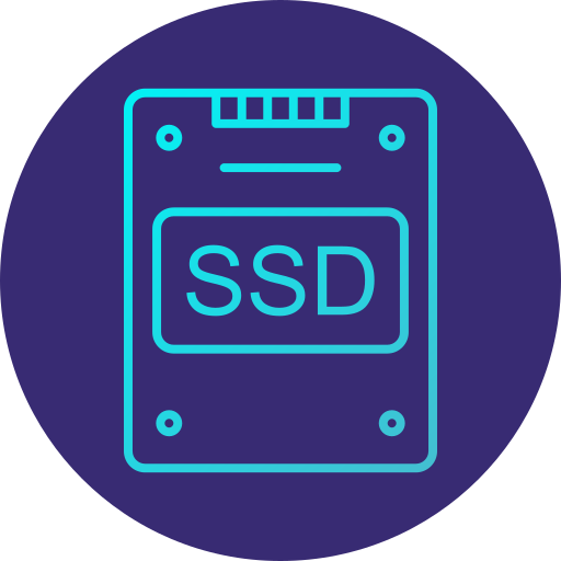 SSD NVMe Disk Drives